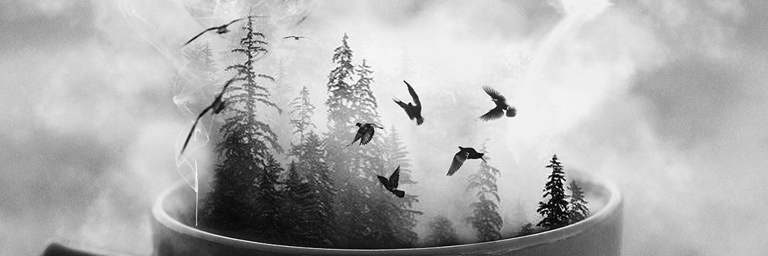 cinesinasandra's profile banner image