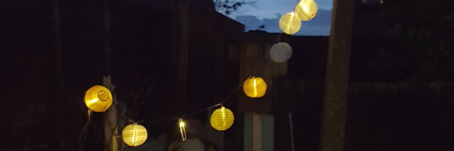 steena27's profile banner image