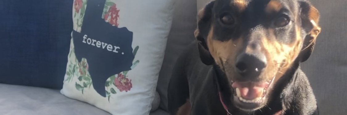 t_ruth13's profile banner image