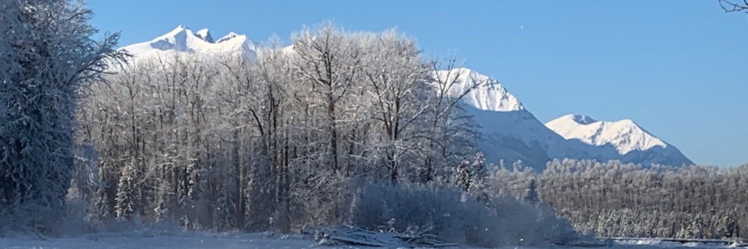 cooketeaches's profile banner image