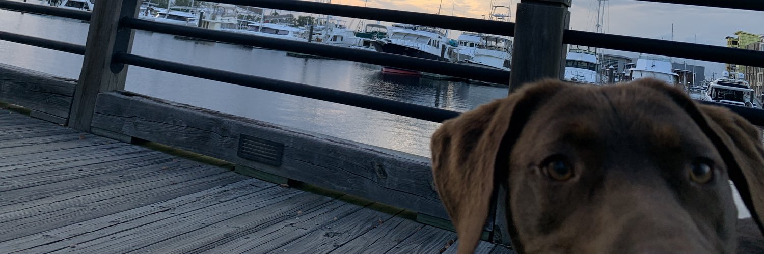 echandler14's profile banner image