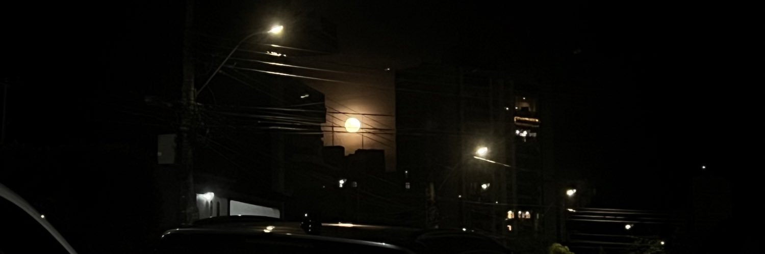 luaraborba_'s profile banner image