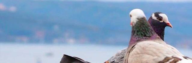 m_taim93's profile banner image