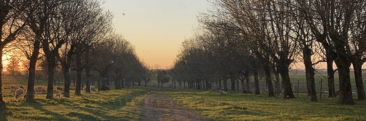 Maria Jose Urioste banner