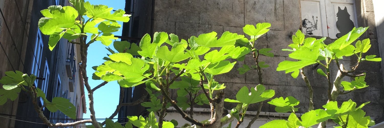 ORincon_'s profile banner image