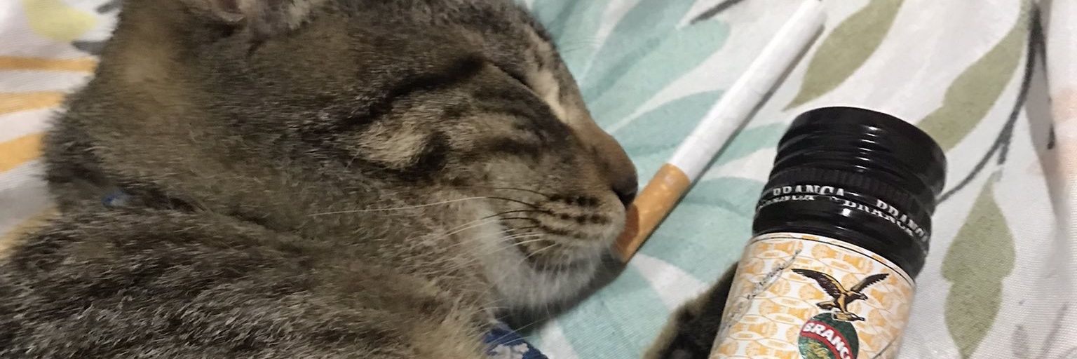 LukZ_2000's profile banner image