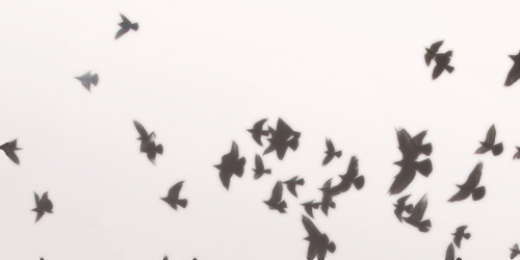 valerothlomejor's profile banner image