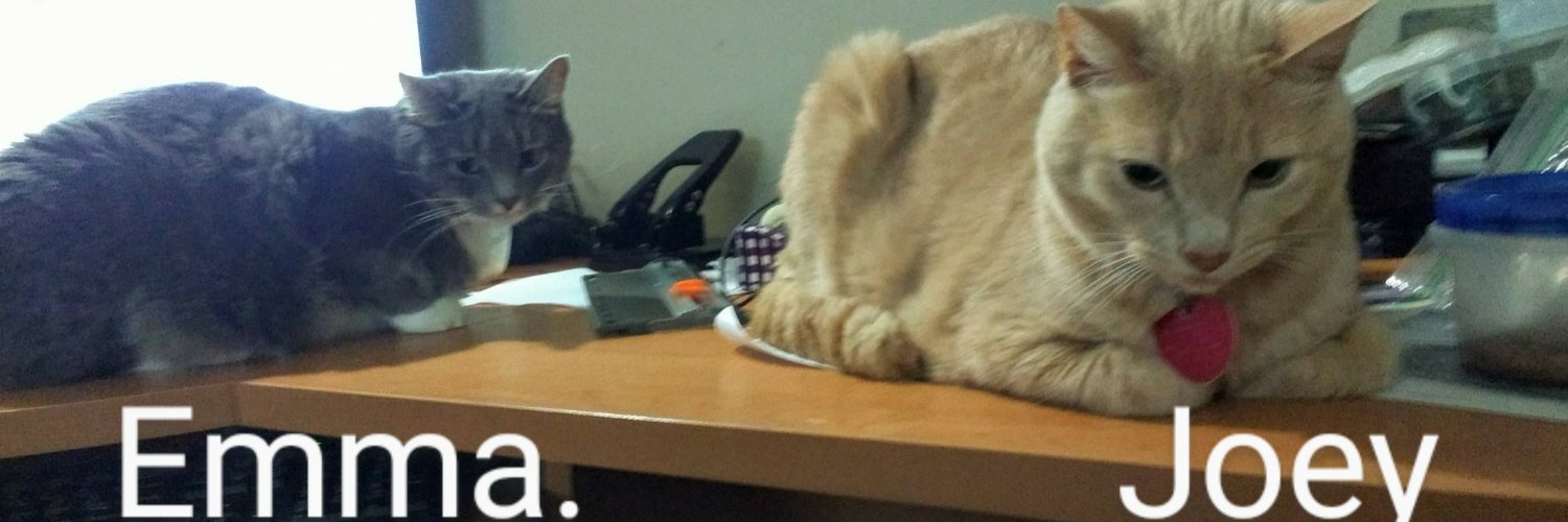 Maggie and De Kats banner