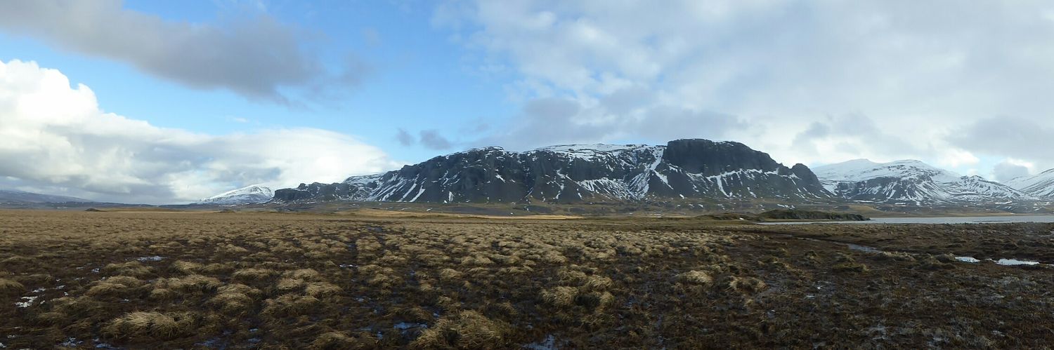 Rachel Tierney banner