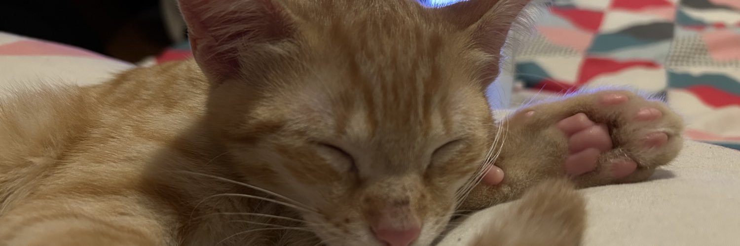 InesPires16's profile banner image
