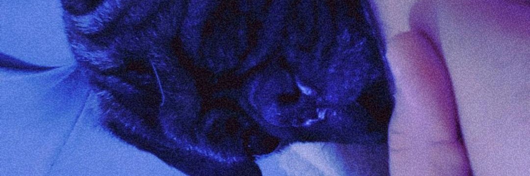 IamPandi09's profile banner image
