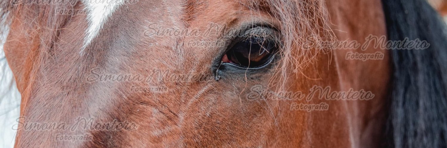 WendyBustoss's profile banner image