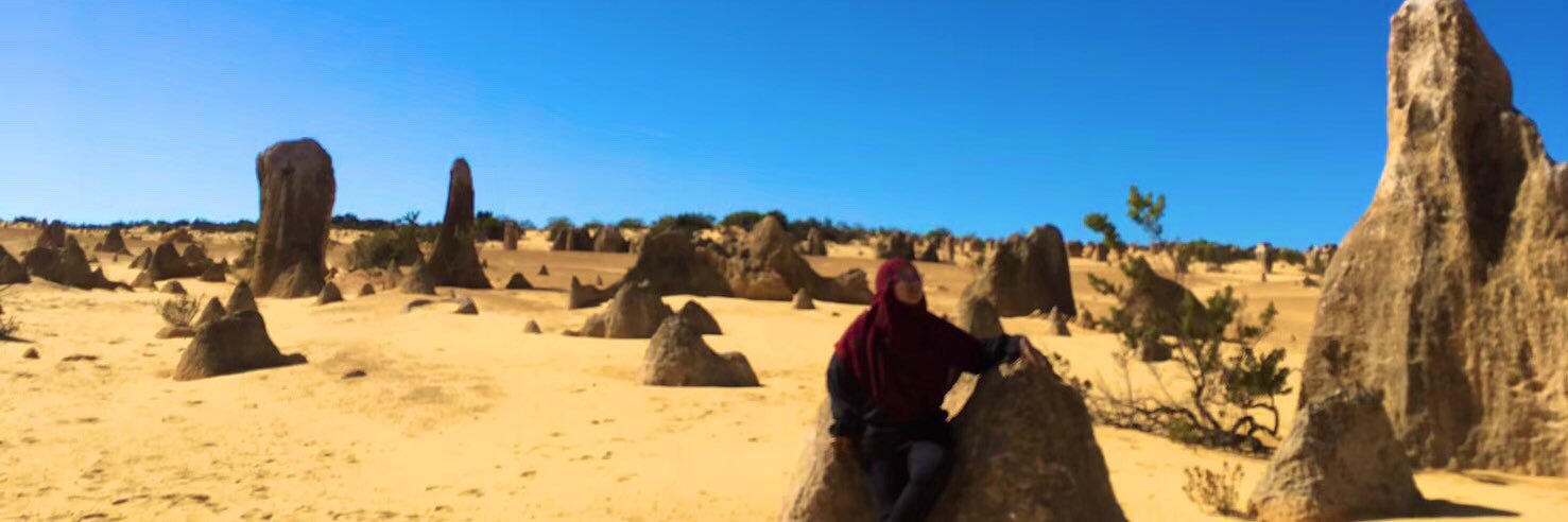 wardahnorman's profile banner image
