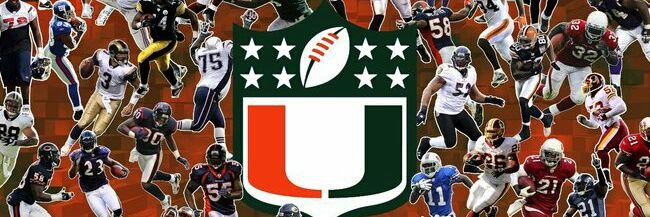 Lake HurRaiders Fan banner