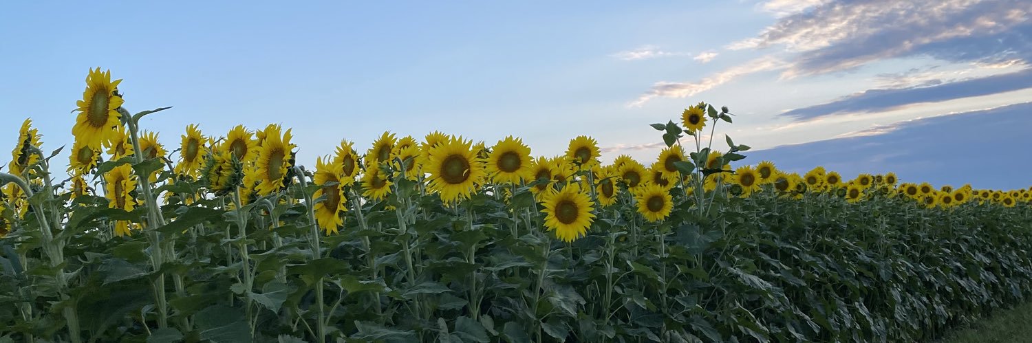 saragreenwayy's profile banner image