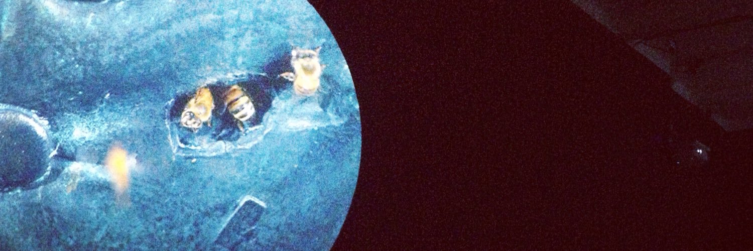 JumJumRecs's profile banner image