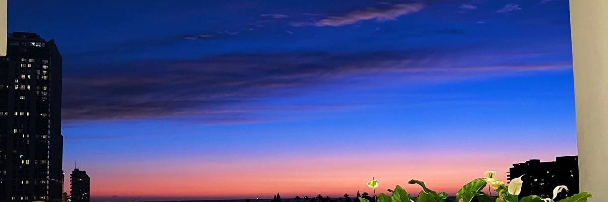 Summerishedb's profile banner image