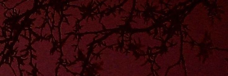_microdionysus's profile banner image