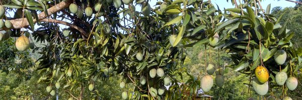 jos34real Profile Banner