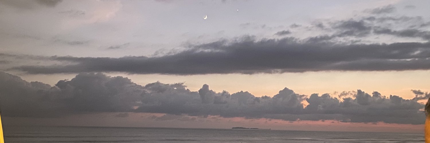 tavarezjasmine's profile banner image