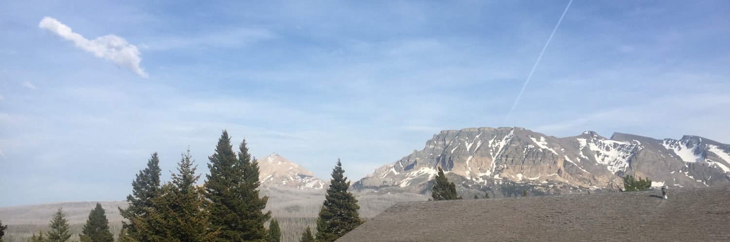 𝒅𝒊𝒏𝒐𝒔𝒂𝒗𝒆☄️ banner