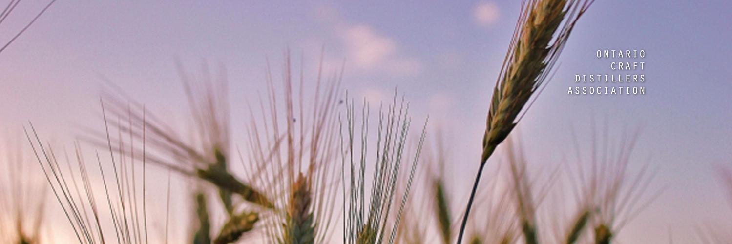 Ontario Distillers banner