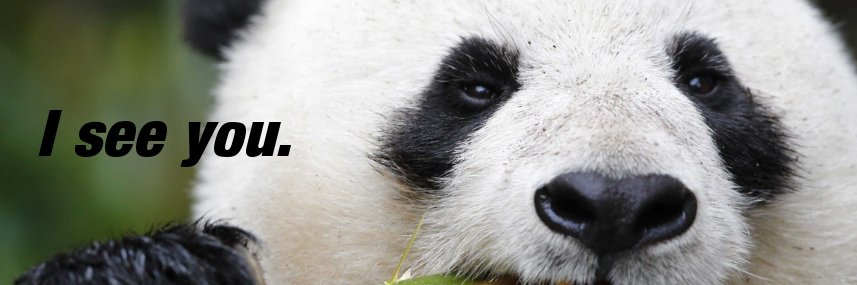 timcrayzer's profile banner image