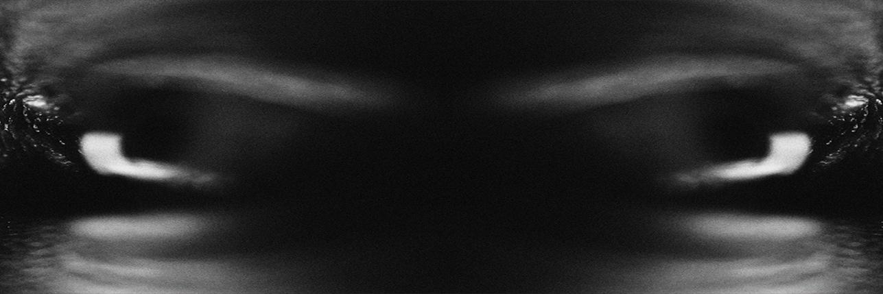 skgrieder's profile banner image