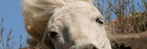 tachocd's profile banner image