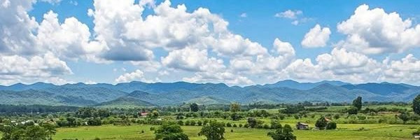 SlimstylesShawn's profile banner image