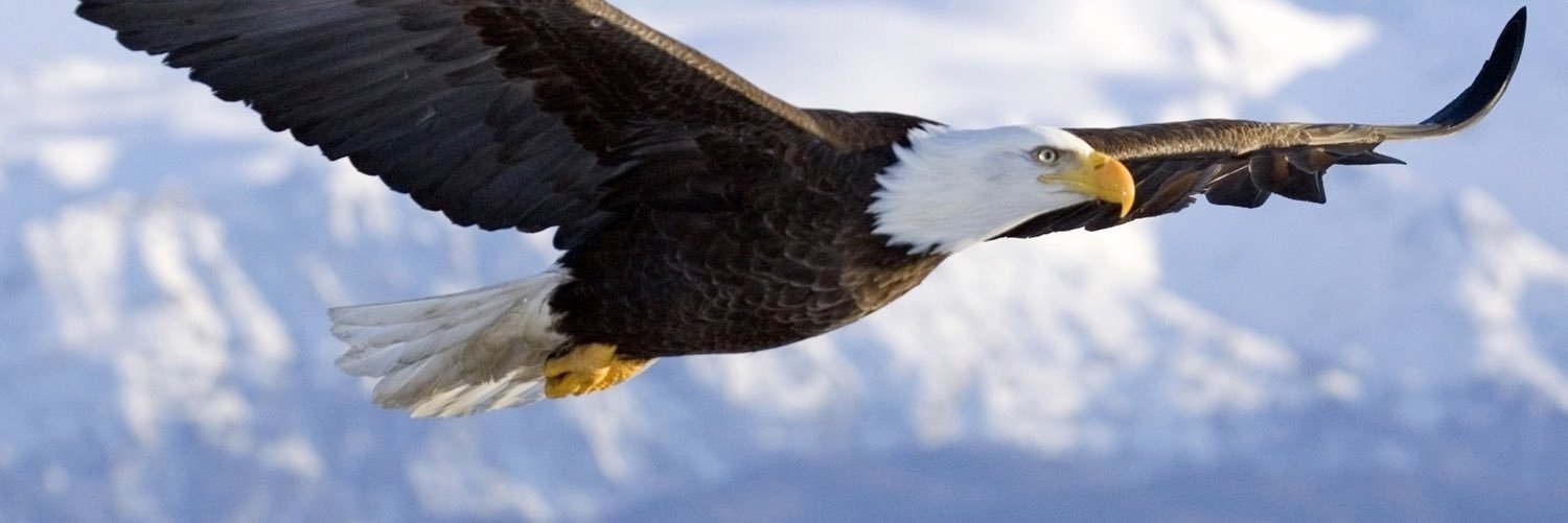 BusinessRevival's profile banner image