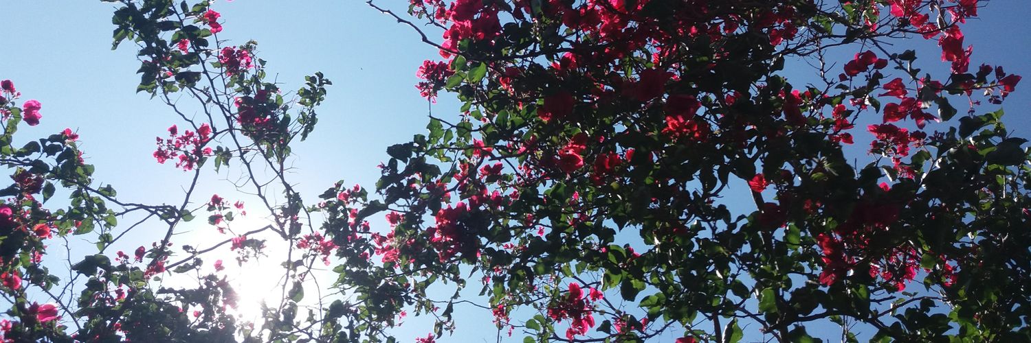 Sonnriente_'s profile banner image