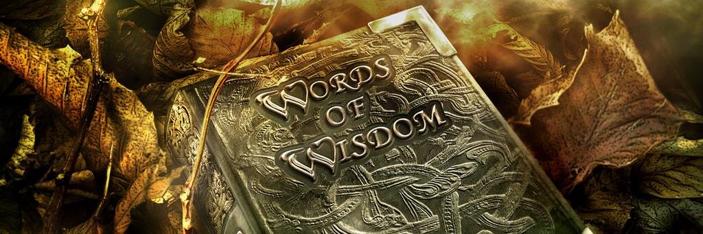 wissddomm's profile banner image