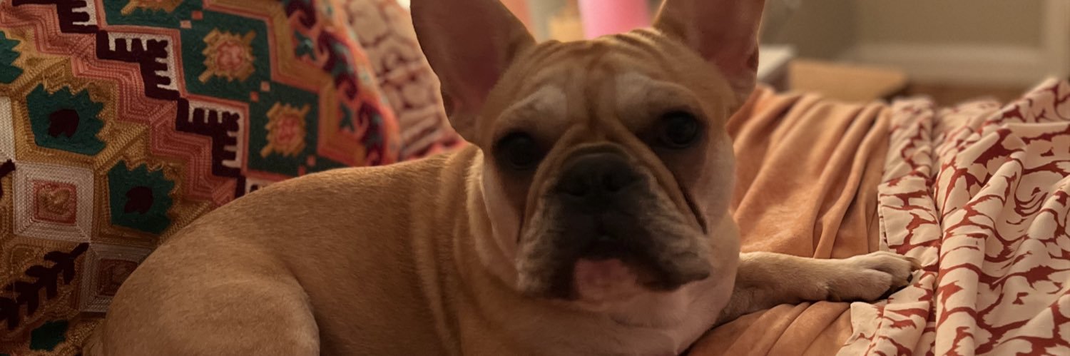 yeardleysummer's profile banner image