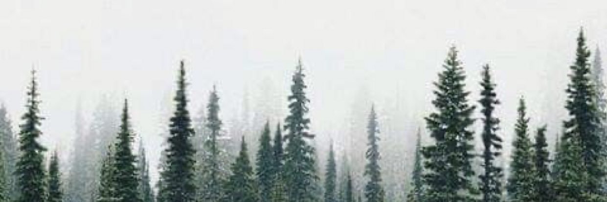 coldteadreams's profile banner image