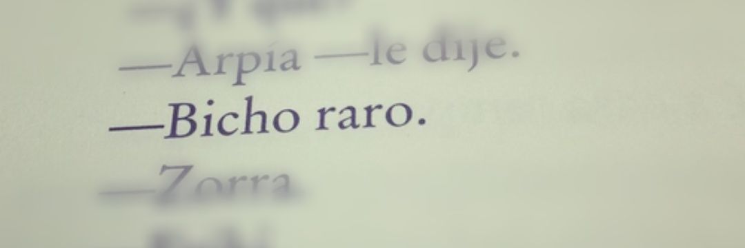 eli_bichoraro's profile banner image