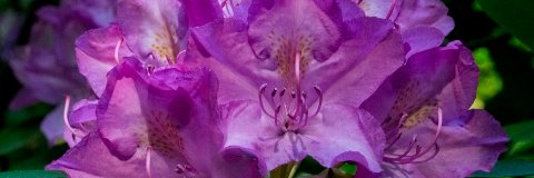 wallacegeo48's profile banner image