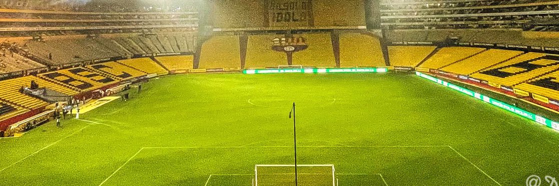 ElRey74 banner