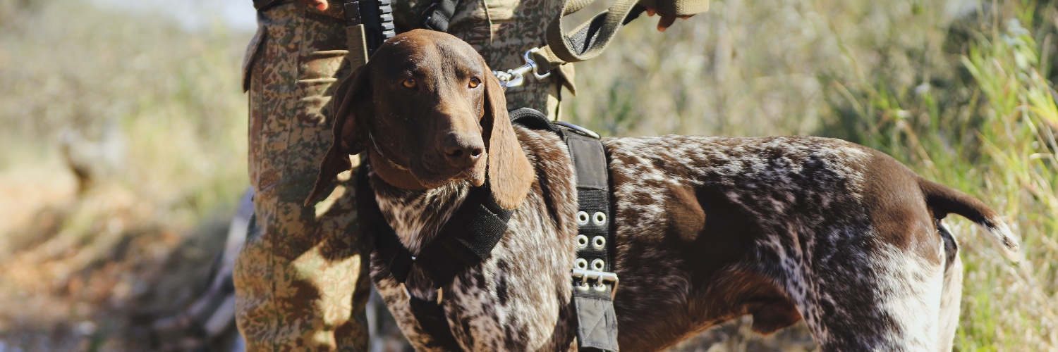PitTrackK9's profile banner image