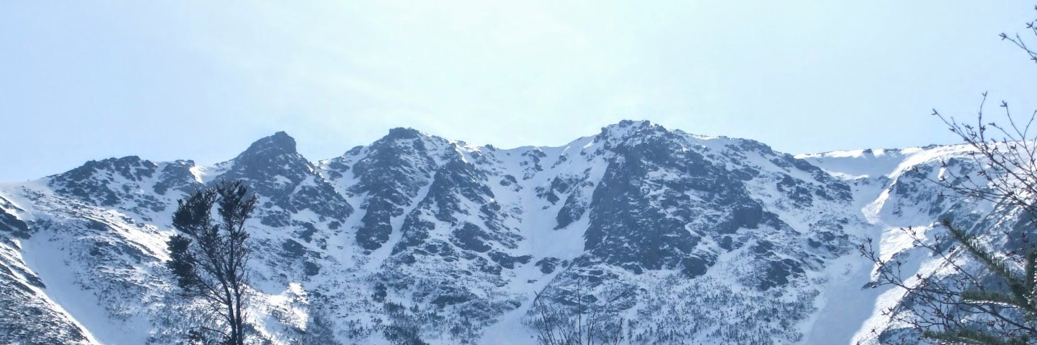 CueniferPrimate's profile banner image