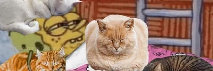 candeeediaz_'s profile banner image