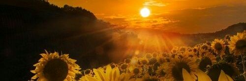 omarposada1's profile banner image