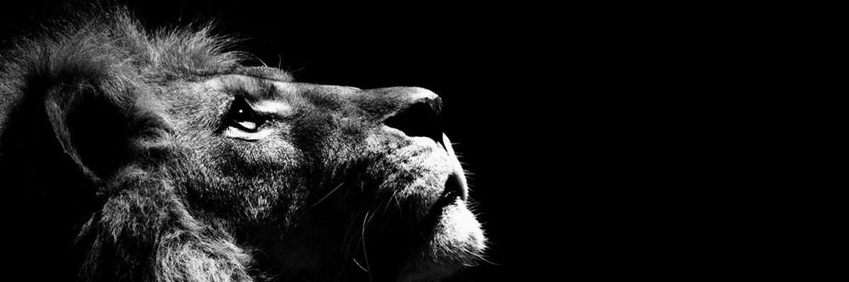 _tassja's profile banner image