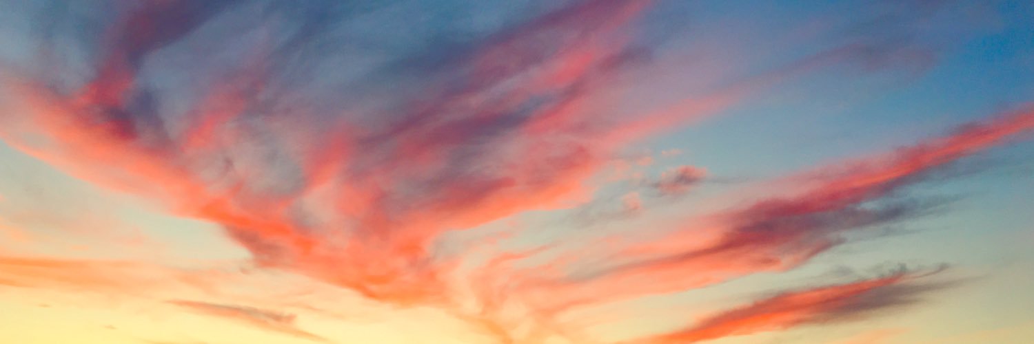 devonhatter's profile banner image