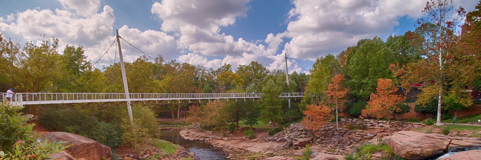Greenville Democrats's banner