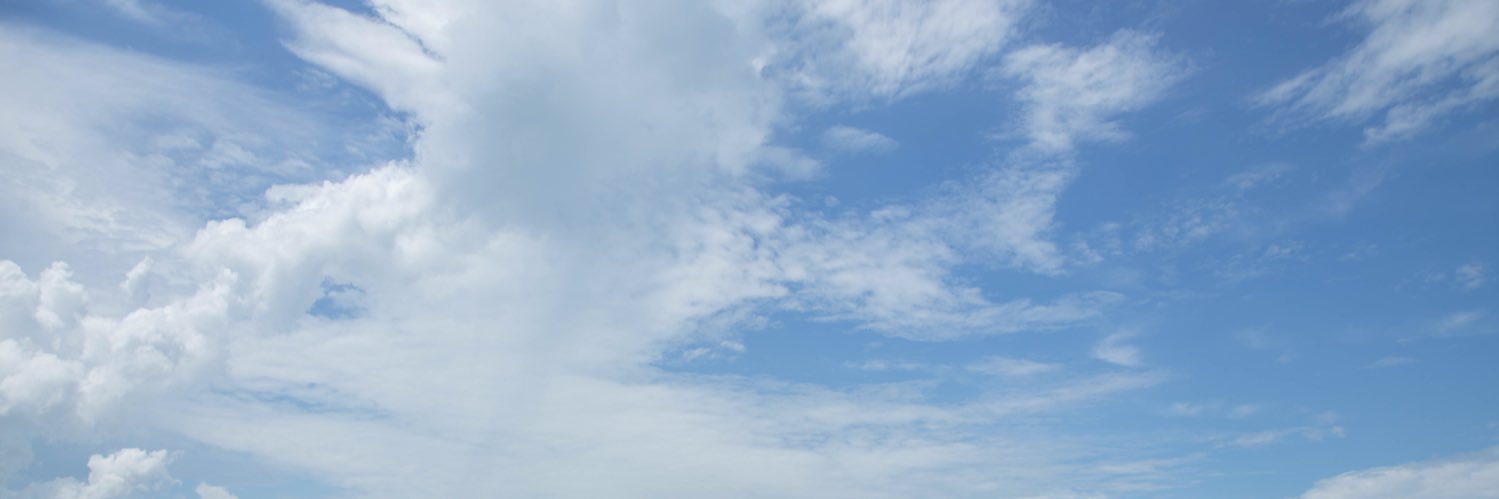 Segebre banner