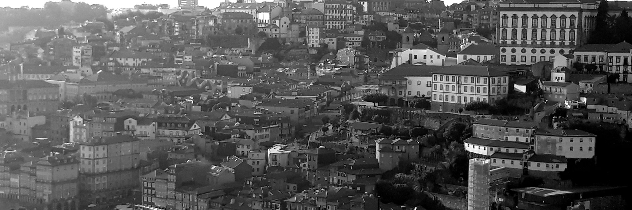 Mitja_Zabot's profile banner image
