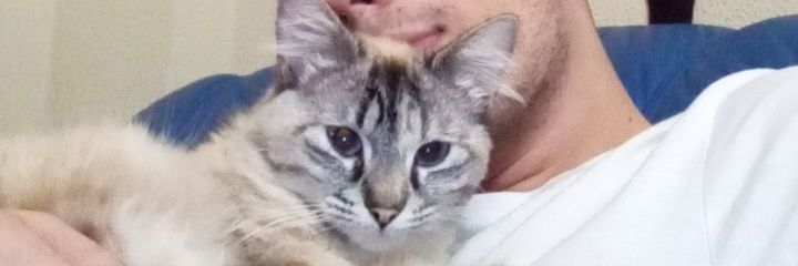 Ruipedro3845's profile banner image