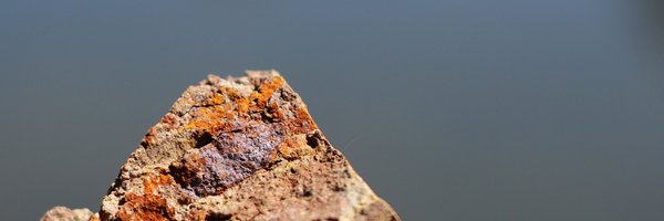 jtdilo Profile Banner