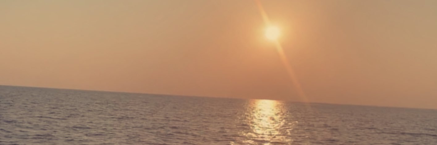 منيره القحطاني banner